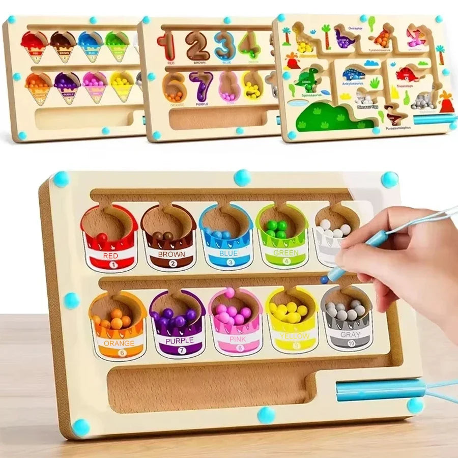 Montessori Magnetic Color Sorting Maze Toy
