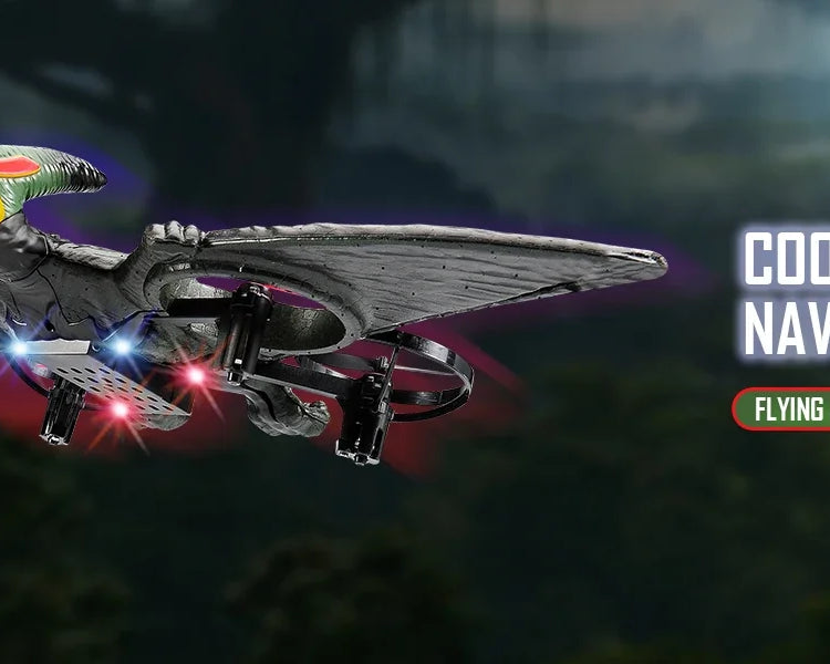 2.4G RC Foam Plane – Fighter Jet Toy