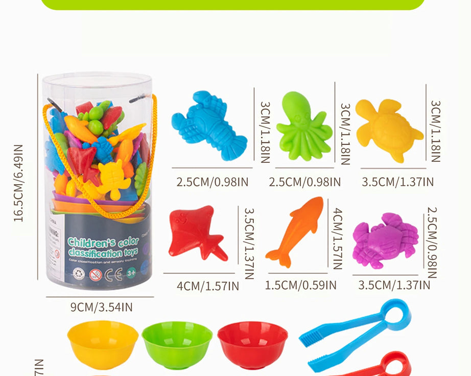 Animal Counting & Sorting Toy – Learn & Play