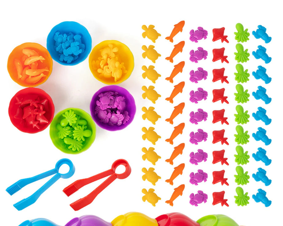 Animal Counting & Sorting Toy – Learn & Play