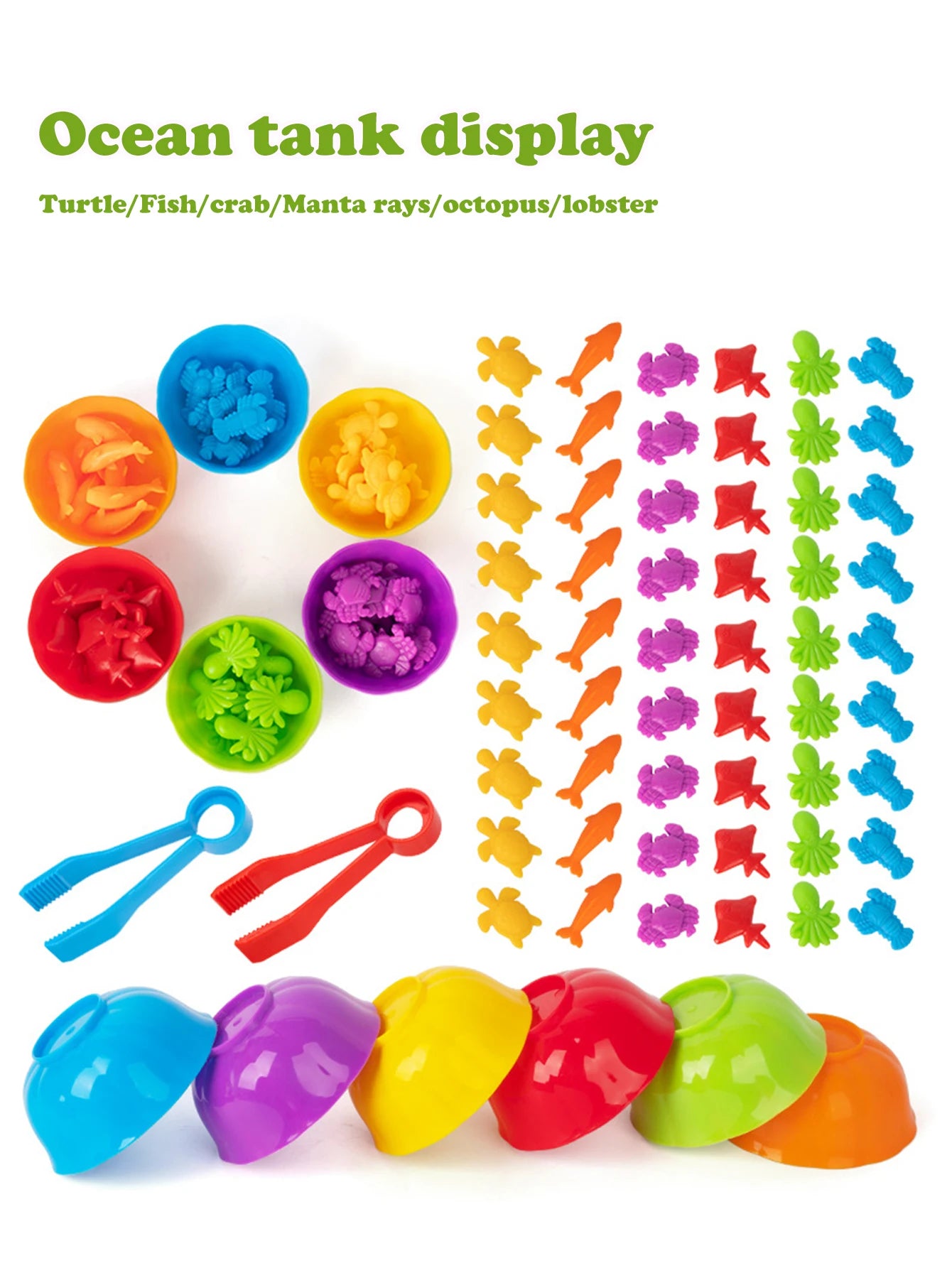 Animal Counting & Sorting Toy – Learn & Play