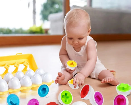Matching Eggs Montessori Toy – Shape Sorter