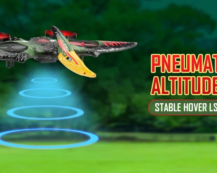 2.4G RC Foam Plane – Fighter Jet Toy