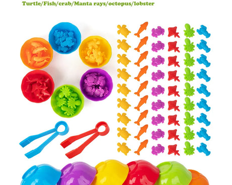Animal Counting & Sorting Toy – Learn & Play