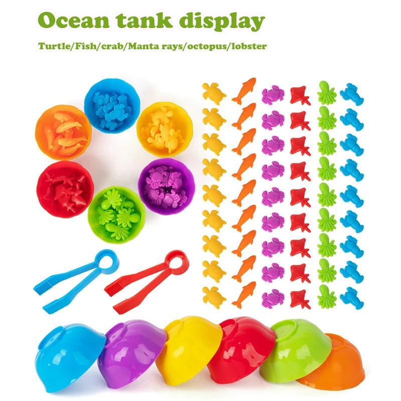 Animal Counting & Sorting Toy – Learn & Play