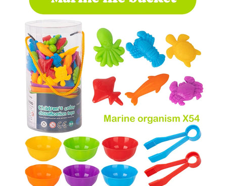 Animal Counting & Sorting Toy – Learn & Play