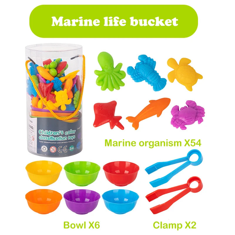 Animal Counting & Sorting Toy – Learn & Play