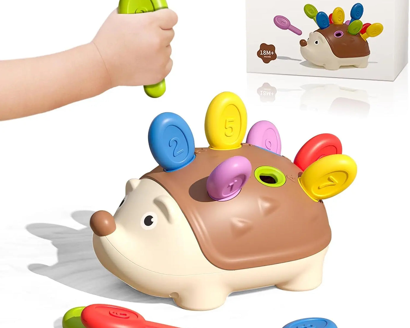 Montessori Hedgehog Toy – Motor & Sensory Play