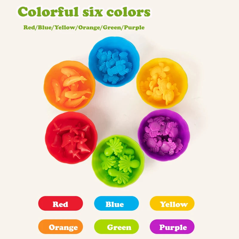 Animal Counting & Sorting Toy – Learn & Play